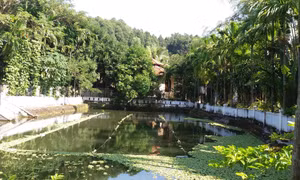 Đà Nẵng ra hạn chót trước khi cưỡng chế 'biệt phủ' của ông Ngô Văn Quang