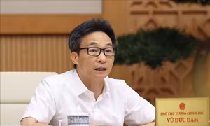 Khẩn trương hoàn thiện Chiến lược tổng thể ứng phó hiệu quả đại dịch COVID-19 trong tình hình mới