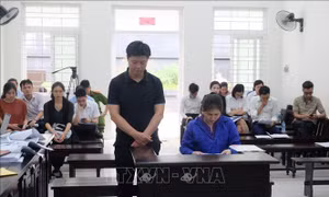 25 năm tù cho 2 vợ chồng lừa đảo từ 'dự án ma' nước uống học đường 