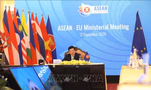 Việt Nam tham dự các Hội nghị Bộ trưởng Ngoại giao ASEAN-Ấn Độ và ASEAN-EU
