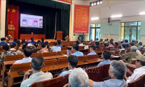 35 vạn người tham gia lớp học 'Bình dân học vụ số' trực tuyến