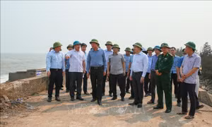 Ninh Bình đảm bảo an toàn cho tuyến đê biển Hải Thịnh trước mùa mưa bão