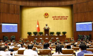 Ngày 19/5, Quốc hội thảo luận chủ trương đầu tư xây dựng 2 dự án đường bộ cao tốc