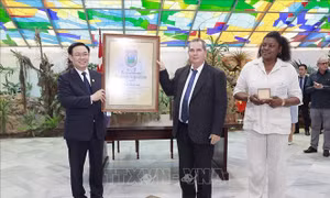 Chuyên gia Cuba: Chuyến thăm của Chủ tịch Quốc hội Vương Đình Huệ thành công vượt bậc