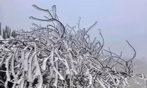 Hơn 400 trường học ở Sơn La cho học sinh nghỉ tránh rét