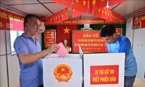 Nhiều đơn vị đang làm nhiệm vụ trên biển đã thực hiện bầu cử sớm