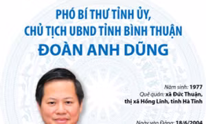Phó Bí thư Tỉnh ủy, Chủ tịch UBND tỉnh Bình Thuận Đoàn Anh Dũng