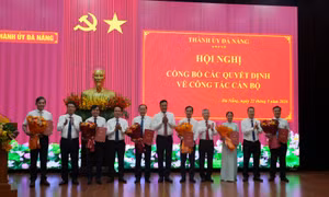 Đà Nẵng phân công, điều động, bổ nhiệm nhiều cán bộ các cơ quan, đơn vị