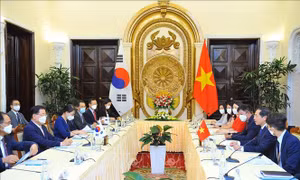 Việt Nam - Hàn Quốc thúc đẩy hợp tác song phương trên các lĩnh vực