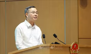 Tổng điều tra kinh tế 2026: Cung cấp cơ sở dữ liệu, hoạch định chính sách phát triển kinh tế - xã hội