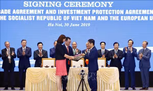 Chỉ định các cơ quan đầu mối để triển khai Hiệp định EVFTA