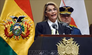 Tổng thống lâm thời Bolivia bác khả năng ra tranh cử