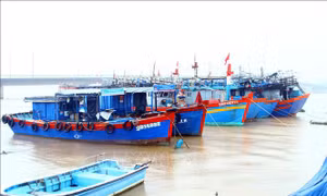 Rà soát tàu cá không lắp đặt VMS, mất kết nối trên 6 tháng