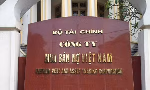 Nhiệm vụ, cơ chế hoạt động Công ty Mua bán nợ Việt Nam