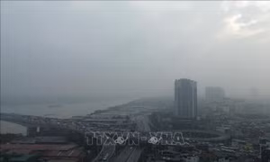 Bộ Nông nghiệp và Môi trường triển khai Kế hoạch khắc phục ô nhiễm và quản lý chất lượng môi trường không khí