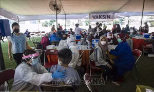 Tình hình dịch COVID-19 cải thiện ở Indonesia
