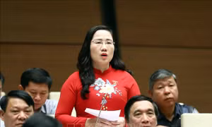 Đại biểu Quốc hội kiến nghị khắc phục tình trạng lách luật để tham nhũng, trục lợi