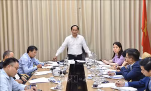 Cần phát huy bài học kinh nghiệm của 'ngoại giao vaccine' trong triển khai ngoại giao kinh tế