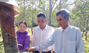 'Cánh tay nối dài' của chính quyền trong thực hiện chính sách dân tộc
