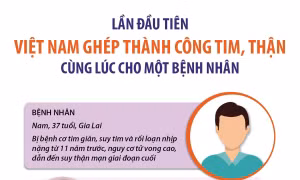 Lần đầu tiên Việt Nam ghép thành công tim, thận cùng lúc cho một bệnh nhân