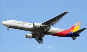 Asiana Airlines sẽ được rao bán trong tháng tới