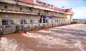 320 trạm bơm đang tích cực tiêu úng cho trên 44.000 ha cây trồng