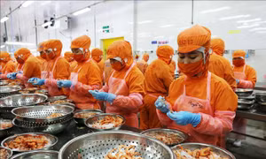 Hướng dẫn chứng từ chứng nhận xuất xứ trong Hiệp định EVFTA