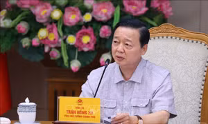 Xây dựng chính sách tổng thể cho nhiên liệu hàng không bền vững
