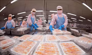 6 tháng, xuất khẩu nông lâm thủy sản ước tăng trên 14%