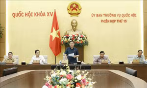 Nghị quyết của Ủy ban Thường vụ Quốc hội về công tác nhân sự