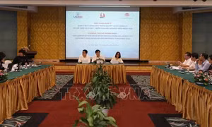 Vì sao không đạt mục tiêu 1 triệu doanh nghiệp hoạt động vào năm 2020?