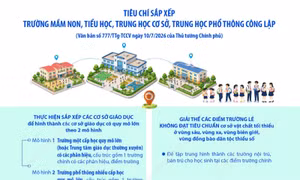Tiêu chí sắp xếp trường mầm non, tiểu học, trung học cơ sở, trung học phổ thông công lập