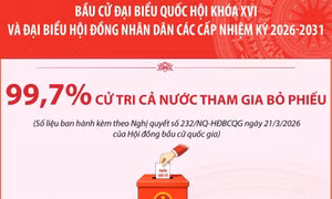Bầu cử Quốc hội và HĐND: 99,70% cử tri cả nước tham gia bỏ phiếu