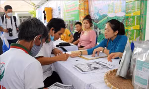 Hội chợ việc làm 'Chúng tôi cần bạn' hướng đến người khuyết tật