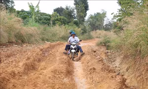 Nhà thầu phải đảm bảo việc lưu thông khi nâng cấp đường giao thông