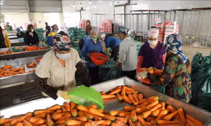 Cơ hội để nông sản Việt khẳng định vị thế trên thị trường toàn cầu