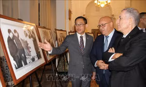 Việt Nam khẳng định mối quan hệ gắn bó với Algeria
