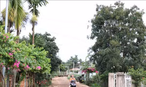 Vụ tấn công tại Đắk Lắk: Tạm giữ hình sự 74 đối tượng, ổn định an ninh trật tự trên địa bàn