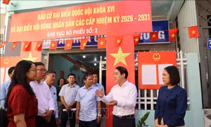 Tạo điều kiện để du khách đến du lịch được bỏ phiếu đúng quy định