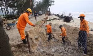 Xử lý sạt lở nghiêm trọng bờ biển Vinh Hải, Thừa Thiên - Huế