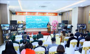 Tìm giải pháp thúc đẩy phát triển cây sâm Ngọc Linh tại Sơn La