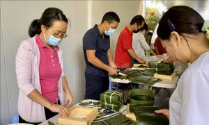 Nồi bánh chưng nặng tình nghĩa quê hương của các gia đình người Việt tại Sydney 