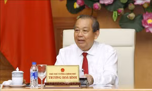 Thủ tướng Chính phủ phê duyệt Danh sách thành viên Ban Chỉ đạo 896