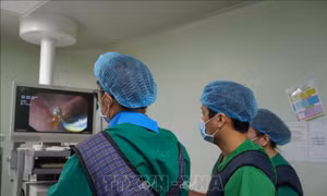 Cần Thơ: Nội soi mật tụy ngược dòng gắp thành công ca mắc kẹt xương cá trong đường mật hiếm gặp