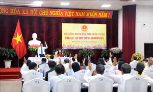 Bình Thuận quy định vùng nuôi chim yến