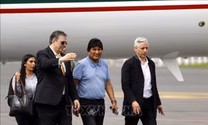 Cựu Tổng thống Bolivia lên án việc Thượng nghị sĩ đối lập tuyên thệ nhậm chức tổng thống tạm quyền