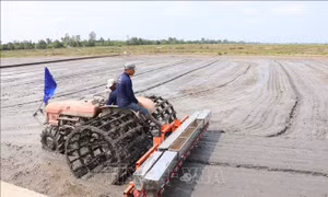 Tích hợp công nghệ số, tăng cơ giới hóa ngành lúa gạo