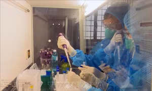 Bệnh viện Đa khoa tỉnh Phú Yên có thể xét nghiệm sàng lọc virus SARS-CoV-2
