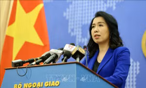 Yêu cầu không tái diễn xâm phạm vùng đặc quyền kinh tế và thềm lục địa của Việt Nam 