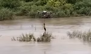 Tặng Bằng khen cho người điều khiển máy bay không người lái cứu 2 em nhỏ giữa dòng lũ